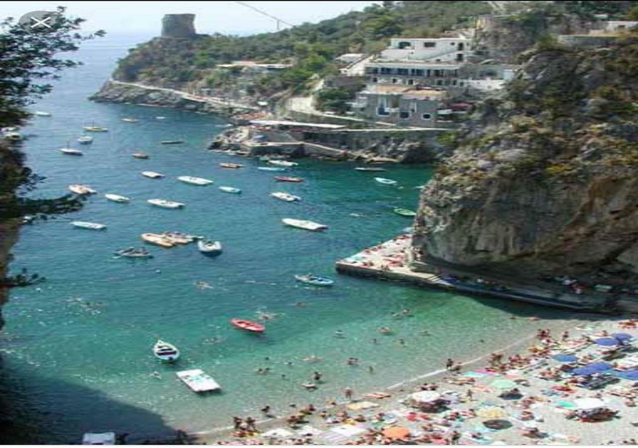 La Limonaia E La Praia Praiano Exterior foto